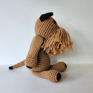 Wallace The Brussels Griffon