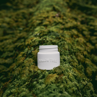 Juniper Moss Candle