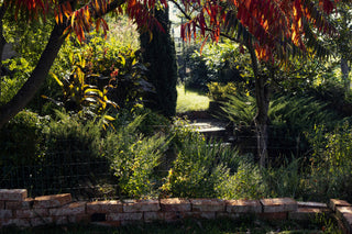 Fresh Fig + Cedar Travel Candle