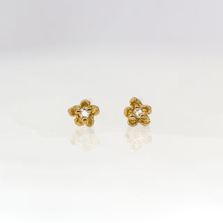 Buttercup Stud