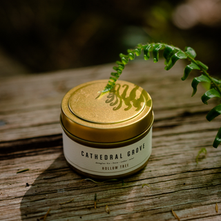 Cathedral Grove Travel Tin