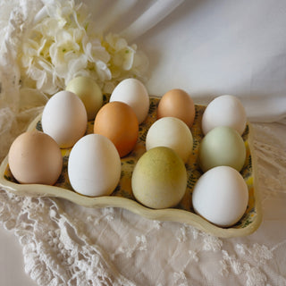 Ceramic Egg Tray - Yellow and Green