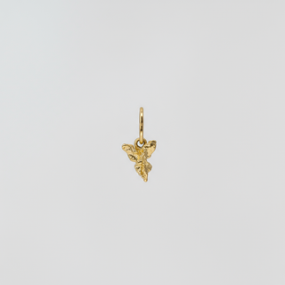 Hidden Fairy Charm