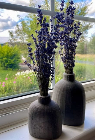 English Lavender Mini Bunches