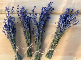 English Lavender Mini Bunches
