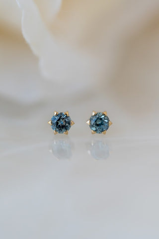 Starburst Sapphire Studs