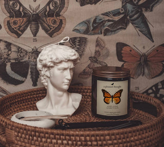 Adelaide | Lavender & Myrrh - Jar Candle