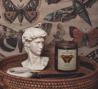 Atlas | Spiced Whiskey & Tobacco Oud - Jar Candle