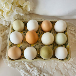 Ceramic Egg Tray - Yellow and Green