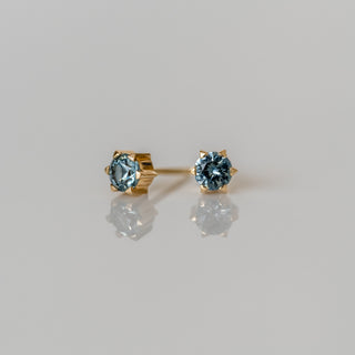 Starburst Sapphire Studs