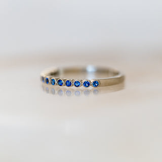Blue Sapphire Family Band