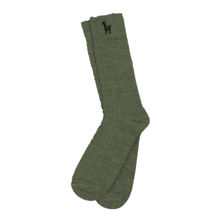 Everyday Alpaca Socks - Spruce