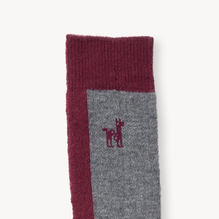 Hiker Socks - Beet