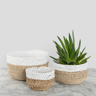 Bowl Baskets - White/Natural