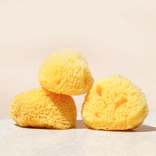 Wildcraft Silk Sea Sponge