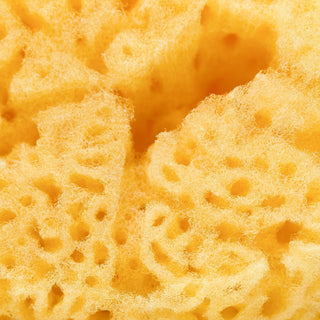 Wildcraft Silk Sea Sponge