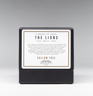 The Lions Candle