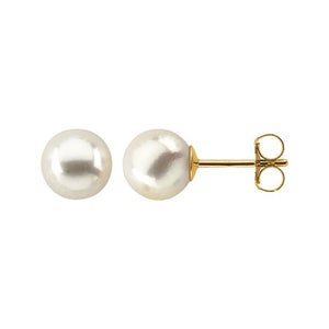 Poppy Finch Akoya Pearl Stud Earrings