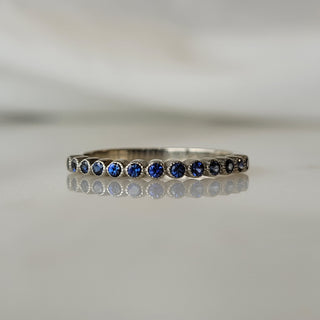 Blue Sapphire Family Band