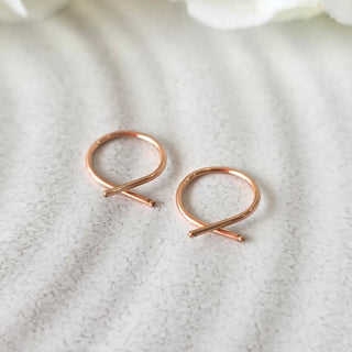 Small Fish Hoops