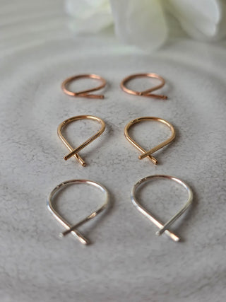 Small Fish Hoops