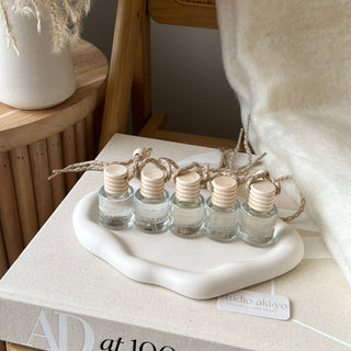 Hanging Car Diffuser -  Winterberry