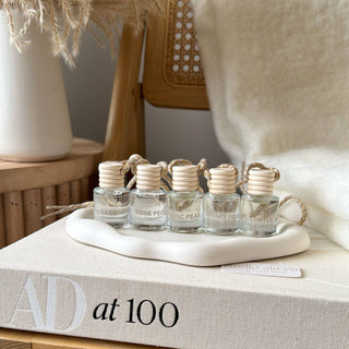 Hanging Car Diffuser -  Winterberry