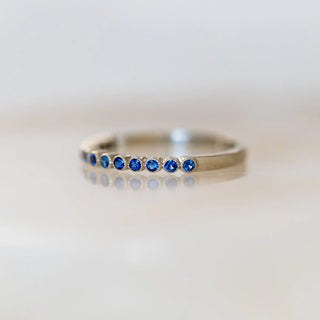 Blue Sapphire Family Band