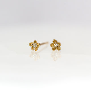 Buttercup Stud