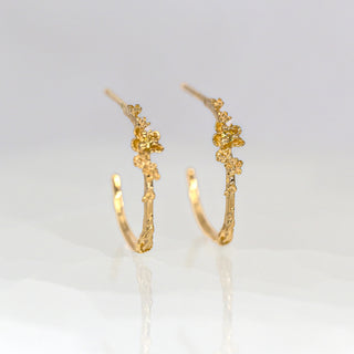 Buttercup Yellow Sapphire Hoops - Large