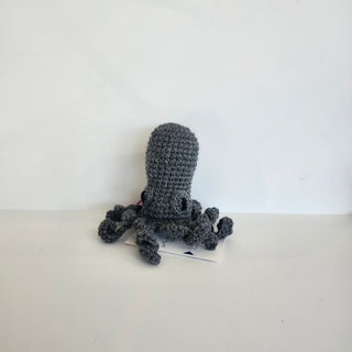 Chesney The Octopus
