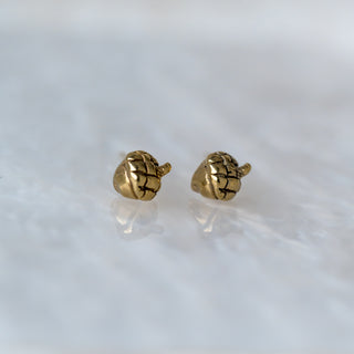 Marmalade Designs Bronze "Acorn" Sculpted Studs