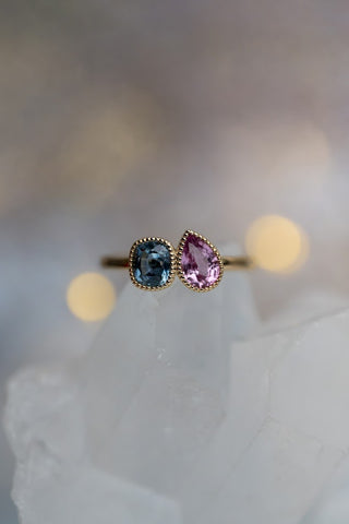 Toi Et Moi Blue and Pink Sapphire Ring