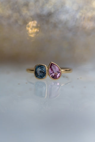 Toi Et Moi Blue and Pink Sapphire Ring