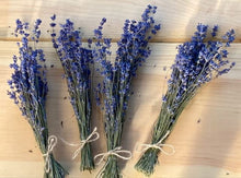 Load image into Gallery viewer, English Lavender Mini Bunches