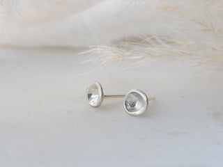 Mussel Shell Stud Earrings