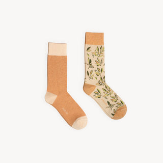 Olives Pima Socks - Pack of 2