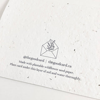 Plantable Greeting Card - September Birth Flower (Aster)