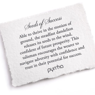 Seeds of Success Talisman Necklace