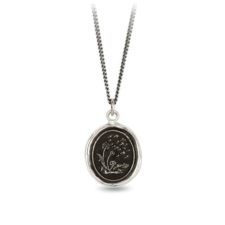 Seeds of Success Talisman Necklace
