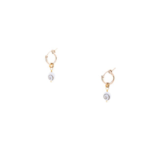 Shiva Shell Nahla Hoop Earrings - Small
