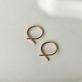 Small Fish Hoops