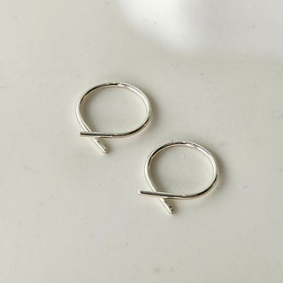 Small Fish Hoops