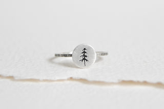 Spruce Tree Ring