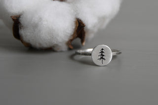 Spruce Tree Ring