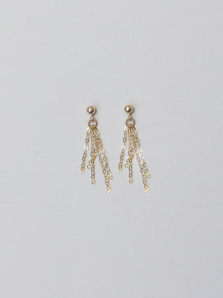 Tassel Earrings