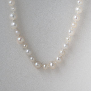 White Pearl Necklace