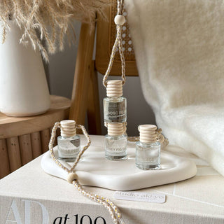 Hanging Car Diffuser -  Winterberry