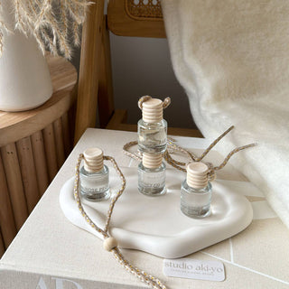 Hanging Car Diffuser -  Winterberry