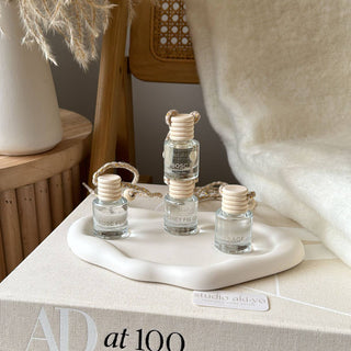 Hanging Car Diffuser -  Winterberry